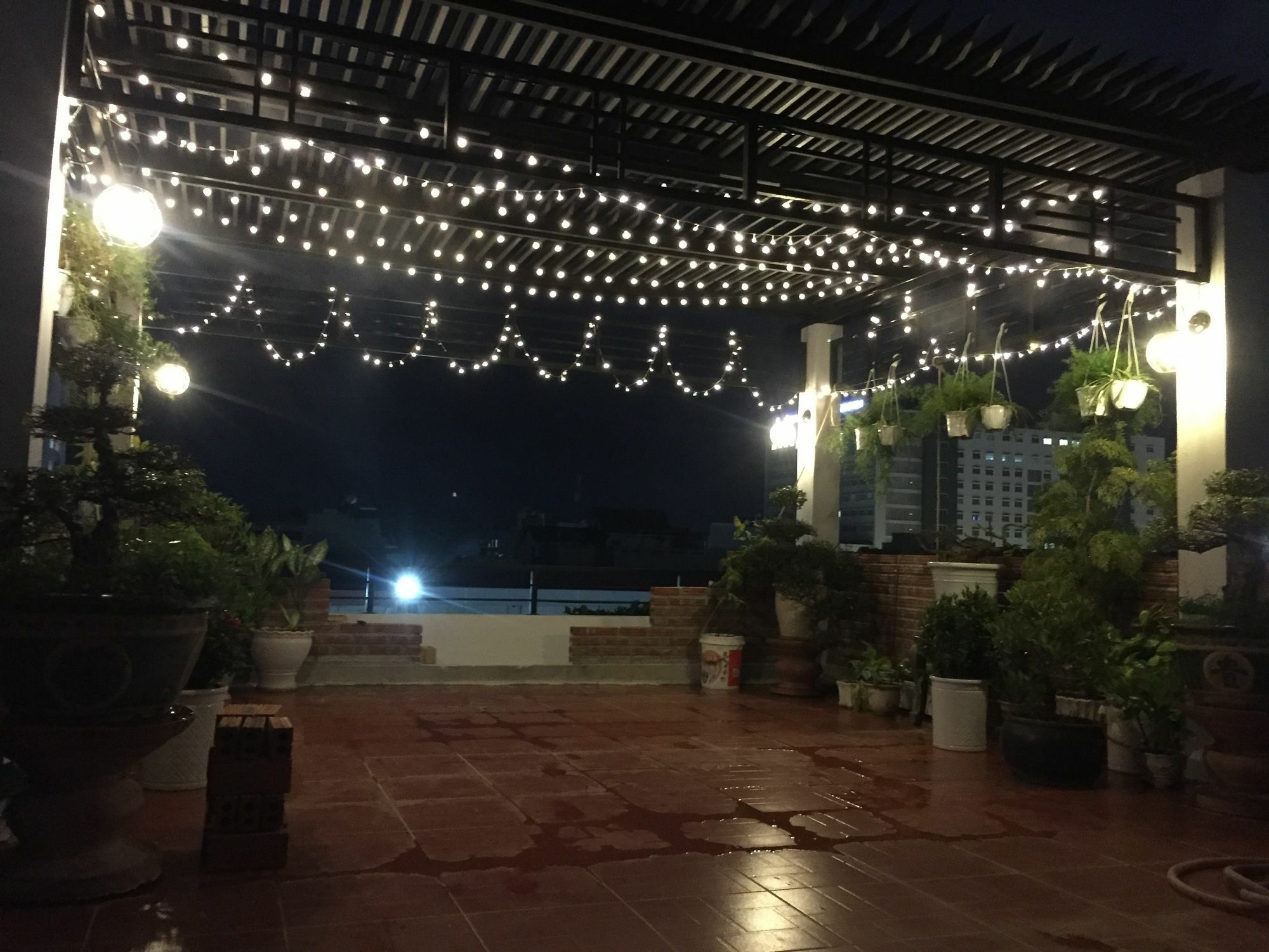 Sophie'S House Homestay Куїнон Екстер'єр фото